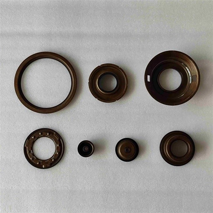 IMG_20250526_121806(1)